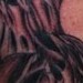 tattoos/ - untitled - 51652